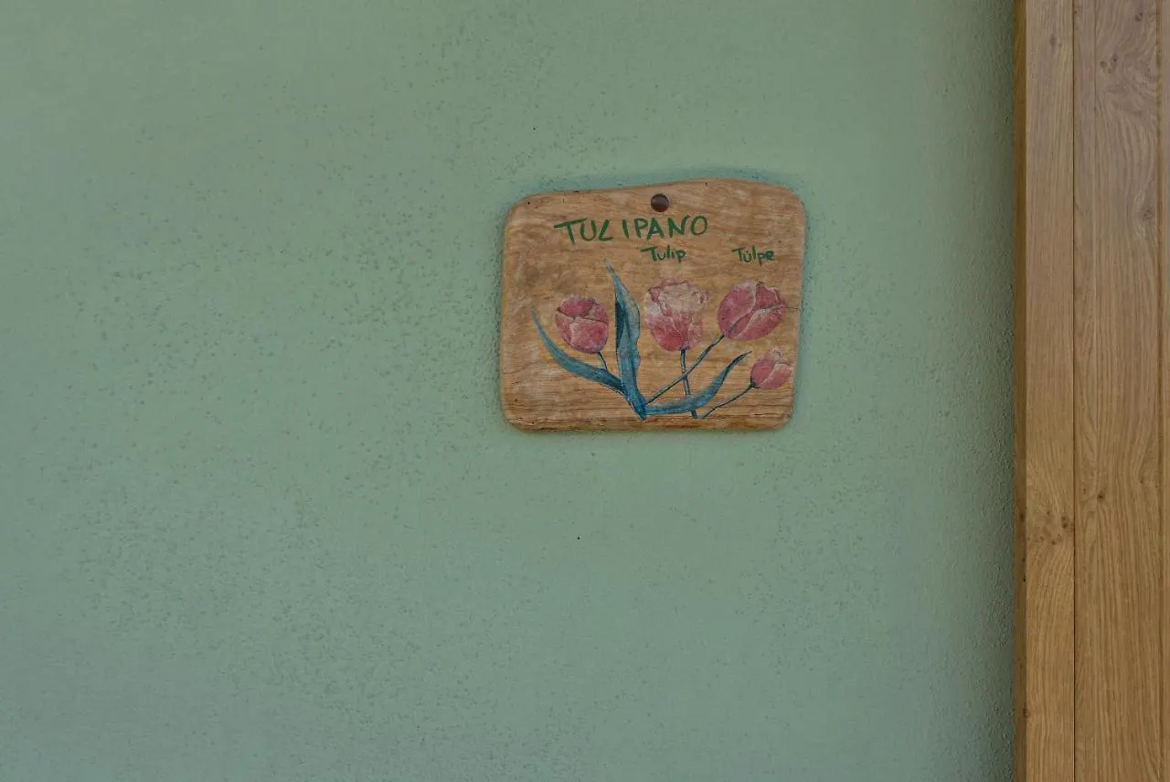 Nonno Bigi Tulipano Apartment Tremosine