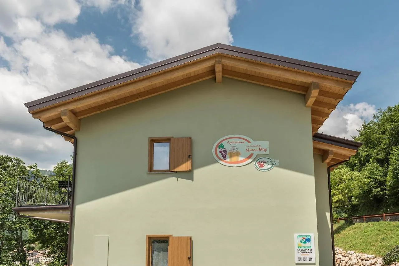Nonno Bigi Tulipano Apartment Tremosine Italy